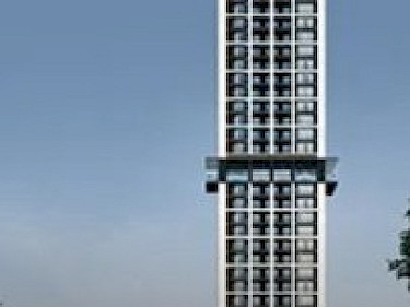 Image of Noble Around Ari