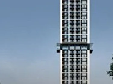 Image of Noble Around Ari