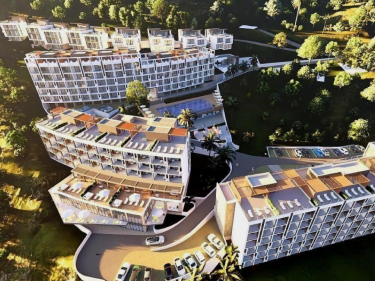 Image of GURU SUBTROPICAL