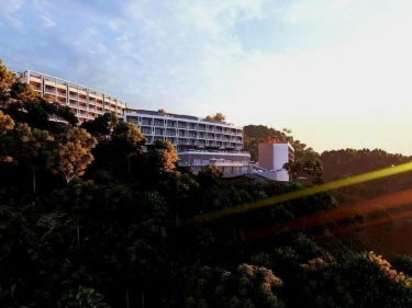 Image of GURU SUBTROPICAL