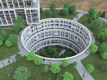 Image of Outlook Forest