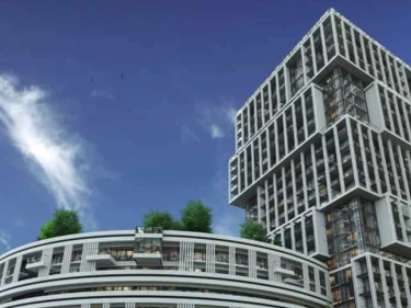 Image of Outlook Forest