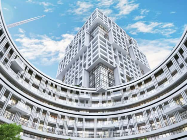 Image of Outlook Forest