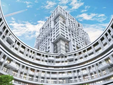 Image of Outlook Forest