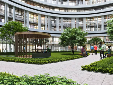 Image of Outlook Forest