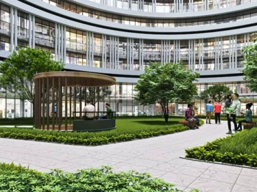 Image of Outlook Forest