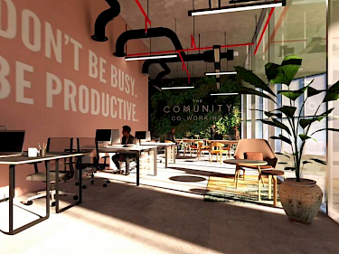 Image of The Community