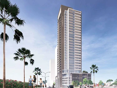 Image of The Community