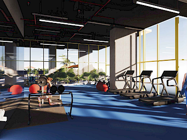 Image of The Community