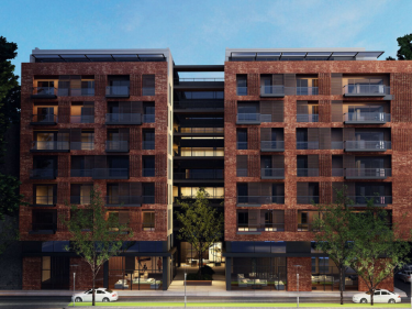 Image of Axis Tsinamdzghvrishvili 125