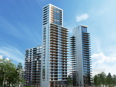 Image of Axis Chavchavadze 49