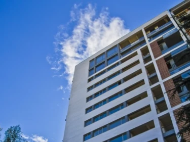 Image of Axis in Chavchavadze 75