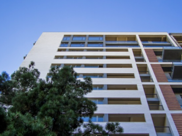 Image of Axis in Chavchavadze 75