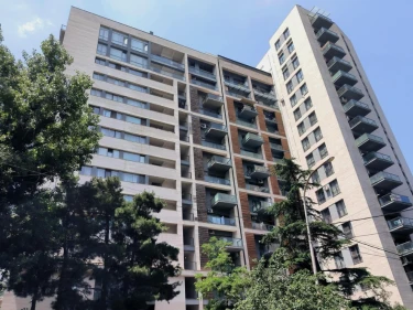 Image of Axis in Chavchavadze 75