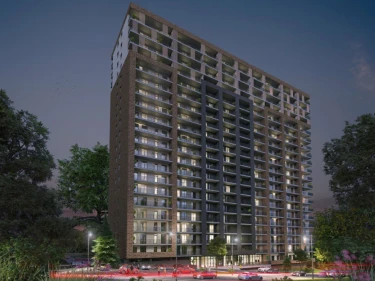 Image of Archi Nutsubidze 2