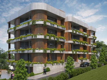 Image of Archi Lisi Sunrise