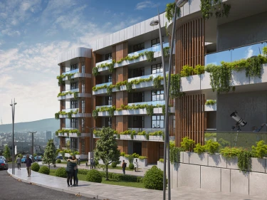 Image of Archi Lisi Sunrise