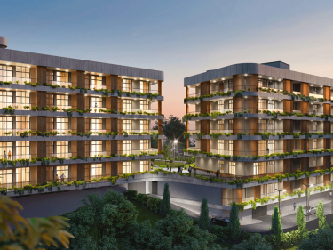 Image of Archi Lisi Sunrise