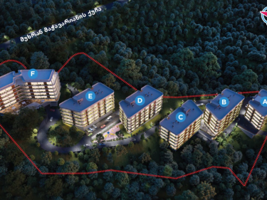 Image of Archi Lisi Sunrise