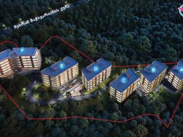 Image of Archi Lisi Sunrise