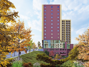 Image of Megobroba Jikiaze