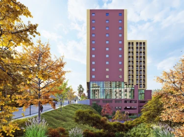 Image of Megobroba Jikiaze