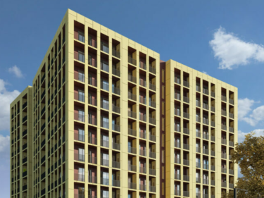 Image of Megobroba Jikiaze