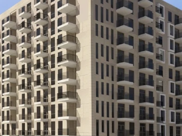 Image of Megobroba Jikiaze