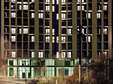 Image of Megobroba Jikiaze