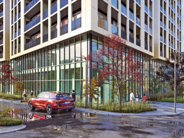 Image of Megobroba Jikiaze