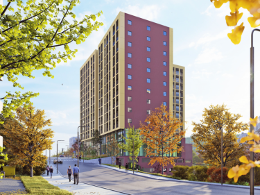 Image of Megobroba Jikiaze