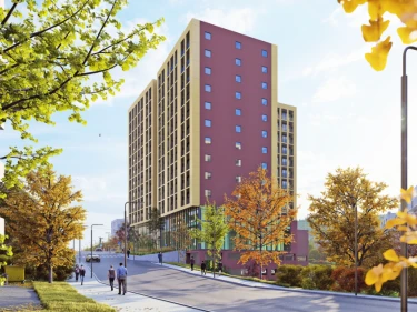 Image of Megobroba Jikiaze