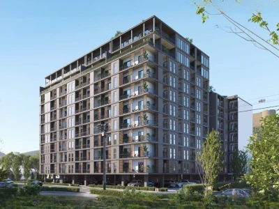 Image of Megobroba Gori