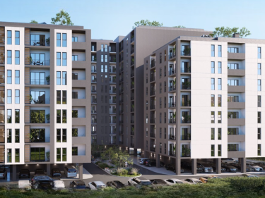 Image of Megobroba Gori