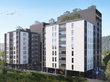 Image of Megobroba Gori