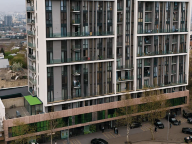 Image of Megobroba Guramishvilze