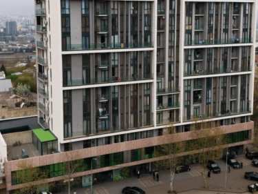 Image of Megobroba Guramishvilze