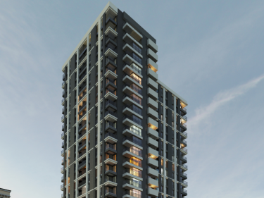 Image of Tsereteli Deluxe