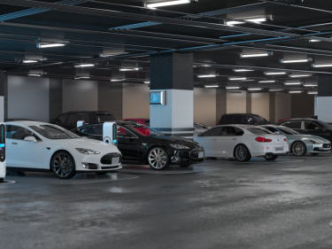 Image of Tsereteli Deluxe