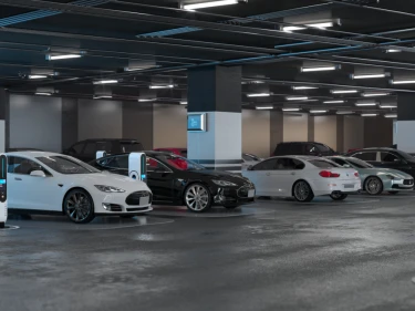 Image of Tsereteli Deluxe