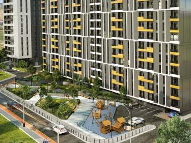 Image of ZenX Dighomi