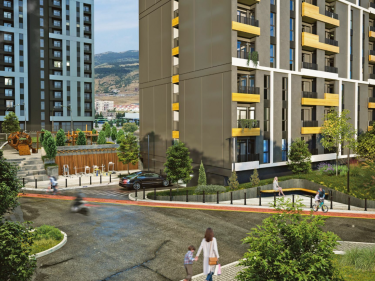 Image of ZenX Dighomi