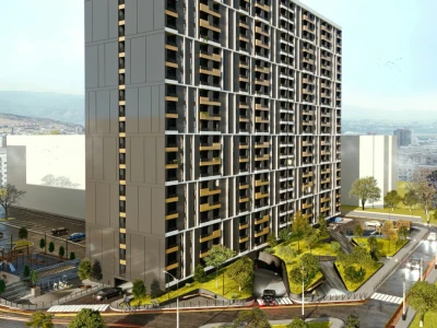 Image of ZenX Dighomi