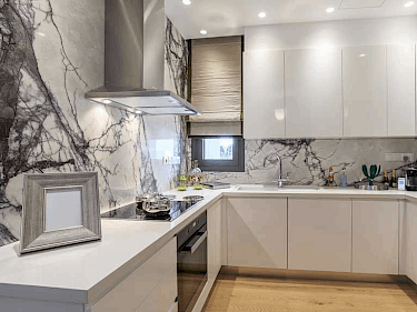 Image of ROSA DEI VENTI