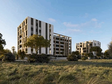 Image of ROSA DEI VENTI