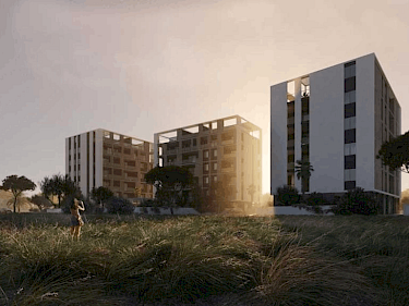 Image of ROSA DEI VENTI