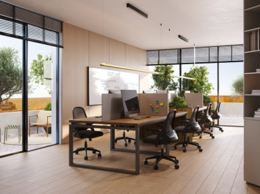 Image of AVENUE FIRST