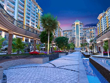 Image of Yekta Kingdom Premium