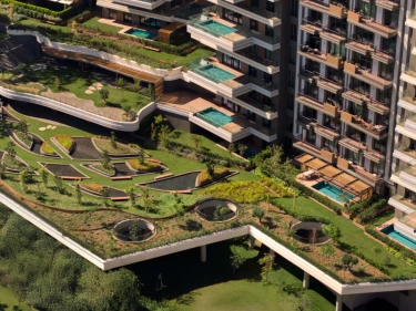 Image of Nişantaşı Koru