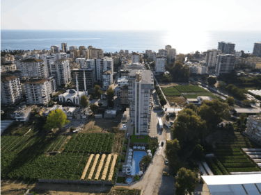 Image of Ecology Corner